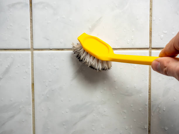 Best Mold Remediation for Schools in Tifton, GA