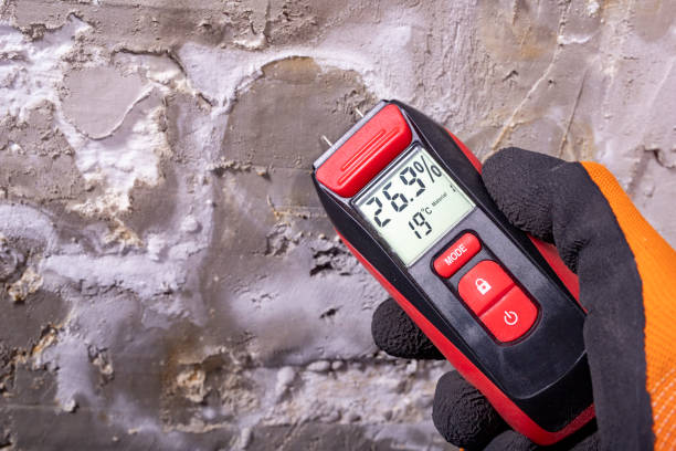 Best Emergency Mold Remediation in Tifton, GA