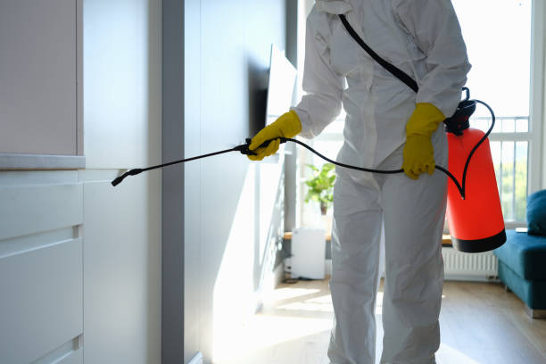 Best Residential Mold Remediation in Tifton, GA