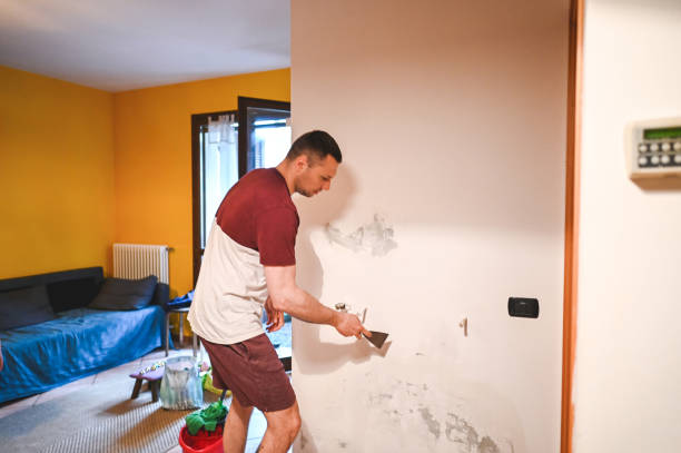 Best Residential Mold Remediation in Tifton, GA