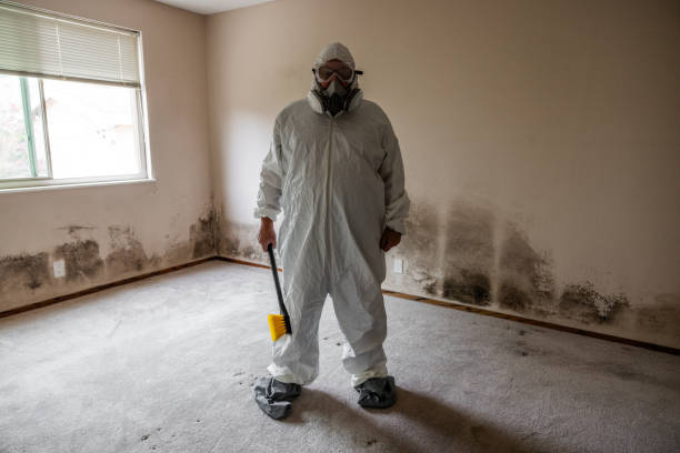 Best Attic Mold Remediation in Tifton, GA