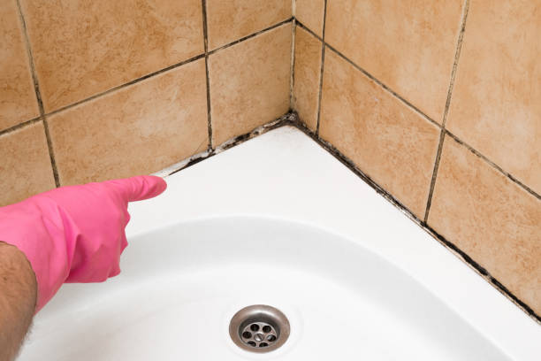 Tifton, GA Mold Remediation Company